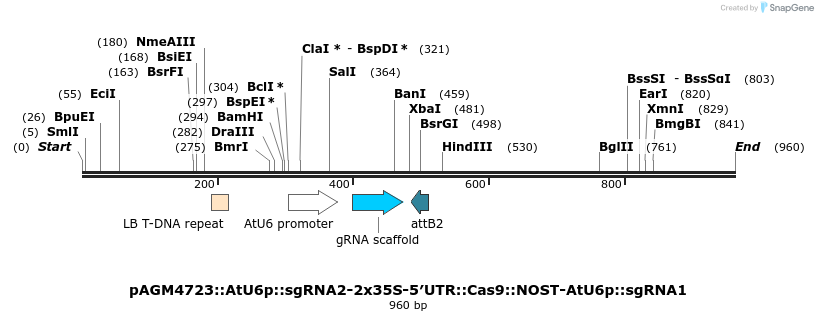 78313_map