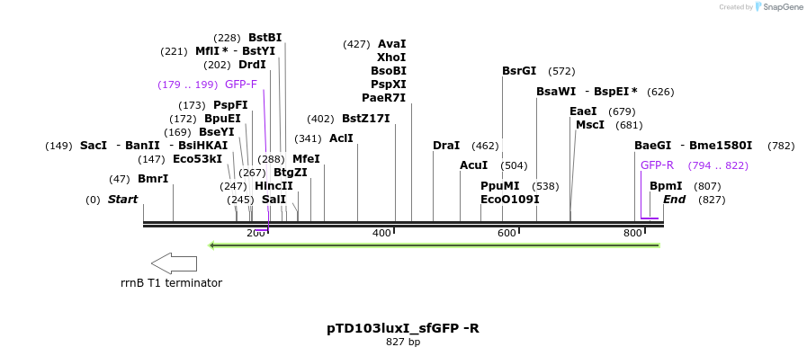 78314_map