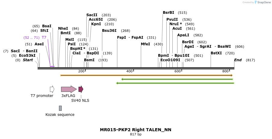 78316_map