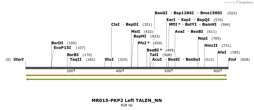 78318_map