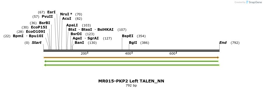 78319_map