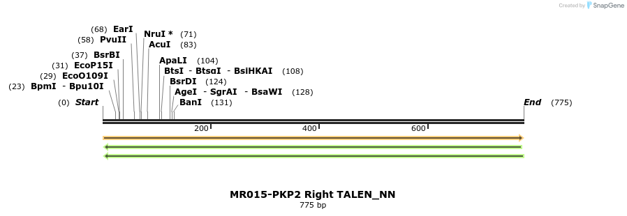 78322_map