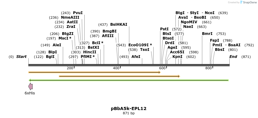 78325_map