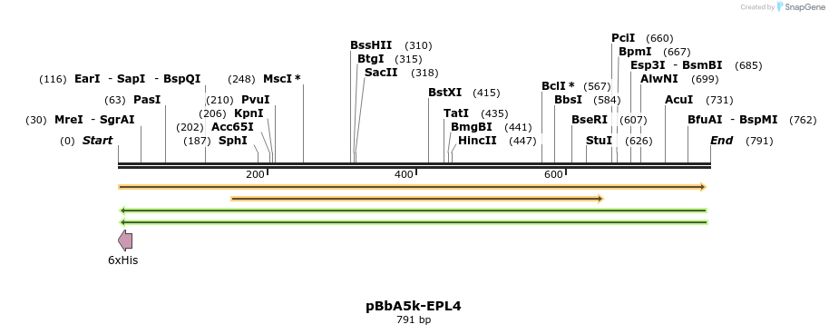 78330_map