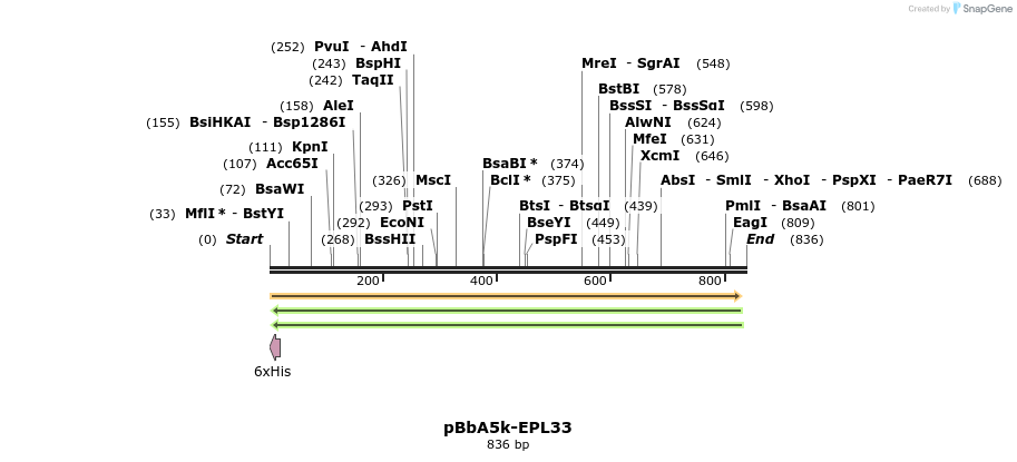 78332_map