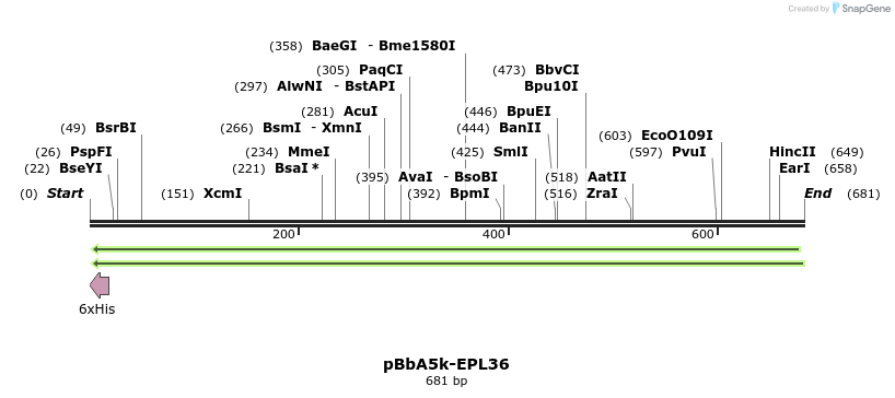 78333_map