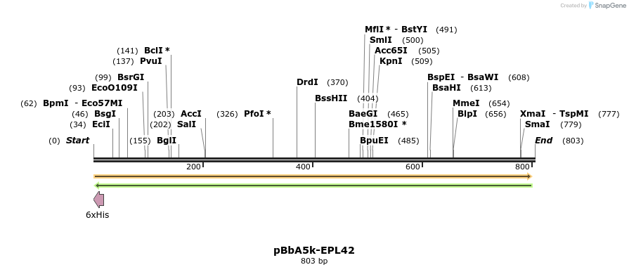78335_map