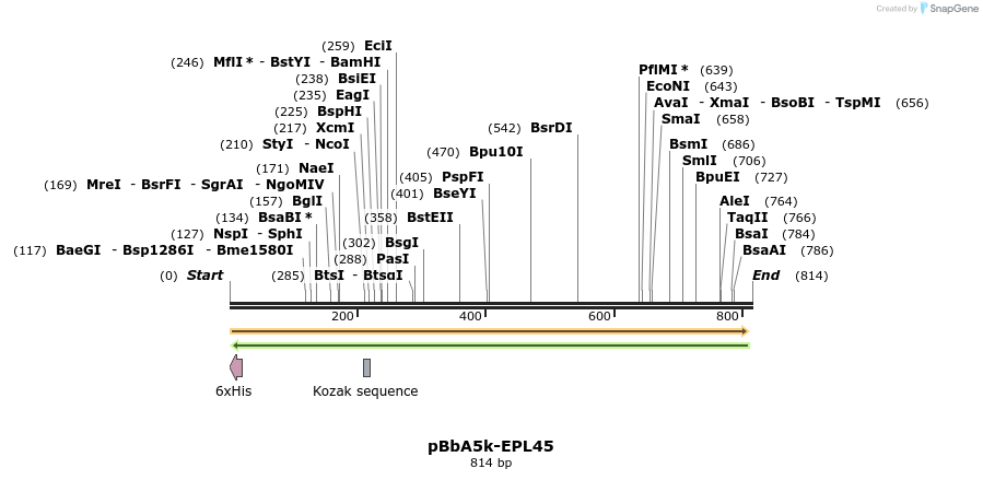 78336_map