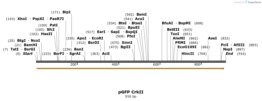 78337_map
