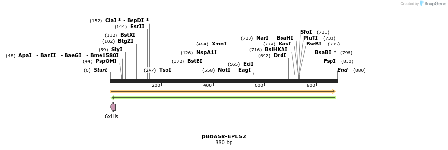 78338_map