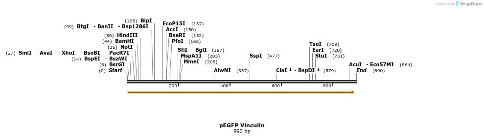 78342_map