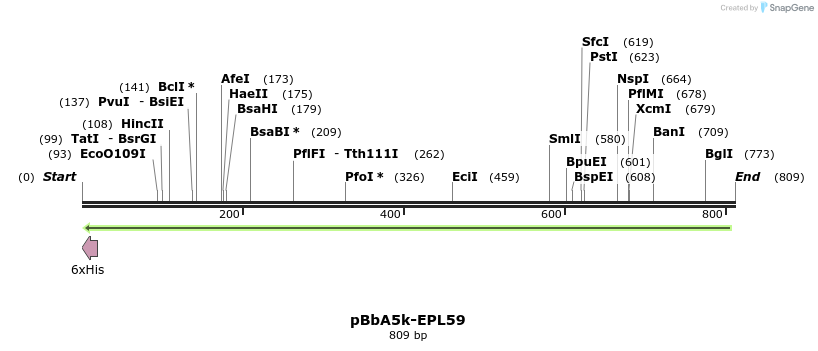 78344_map