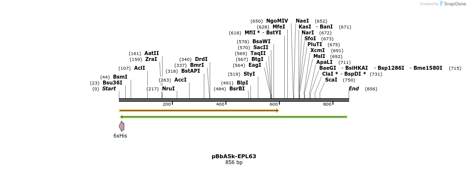 78345_map