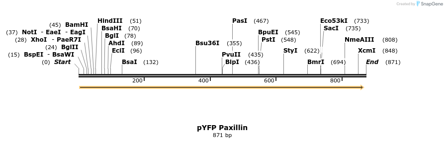 78347_map