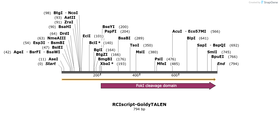 78349_map