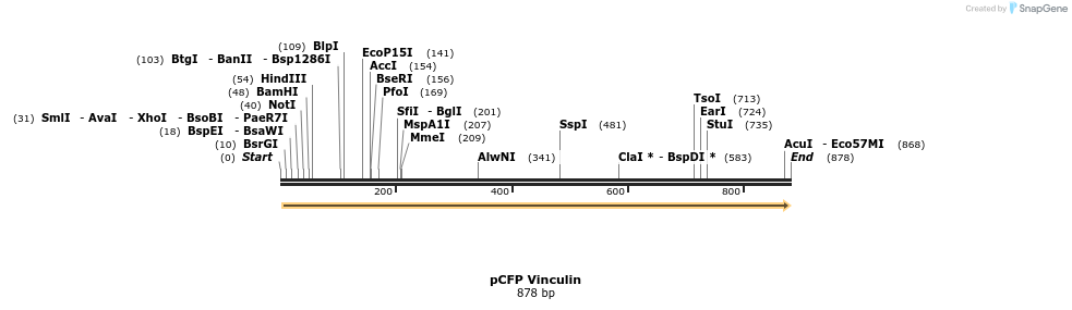 78352_map