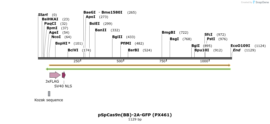 78358_map