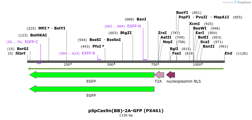 78360_map