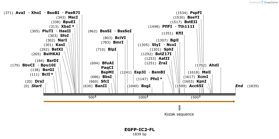 78361_map