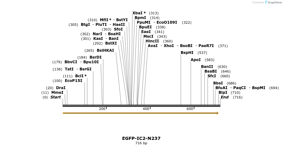 78363_map