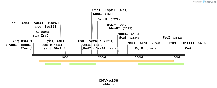 78365_map