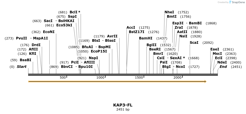 78372_map