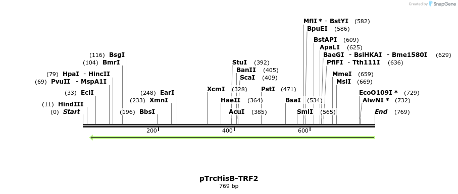 78378_map