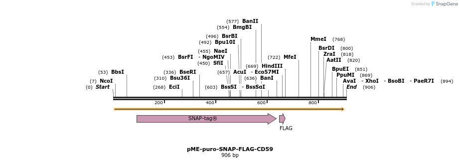 78395_map