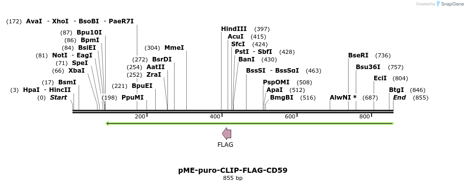 78401_map