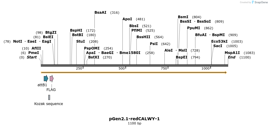 78402_map
