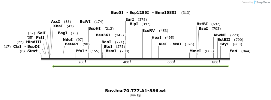 78408_map