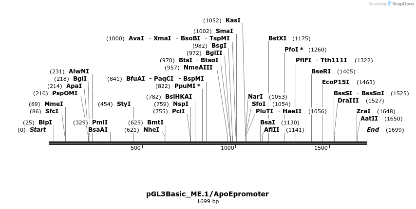 78419_map