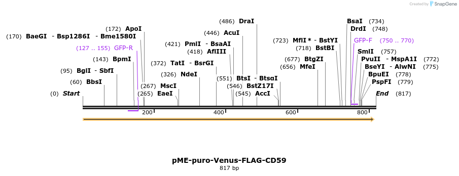 78427_map