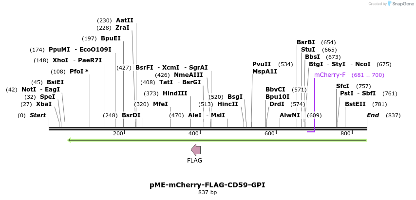 78428_map