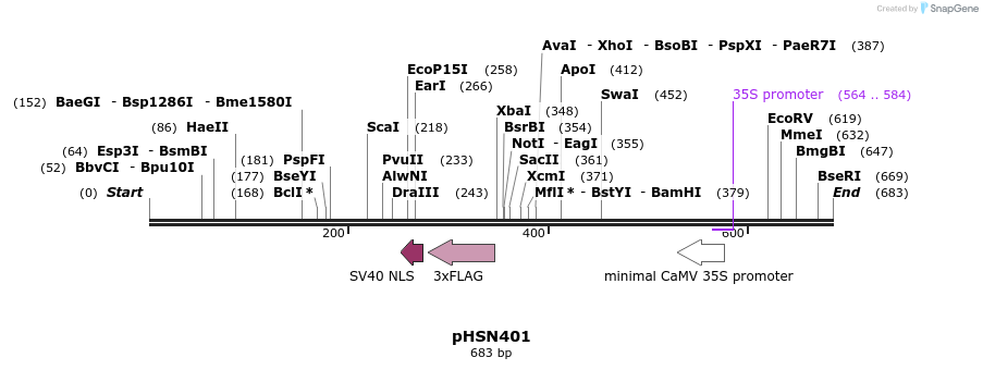 78430_map
