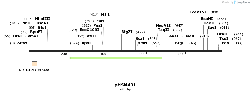 78431_map