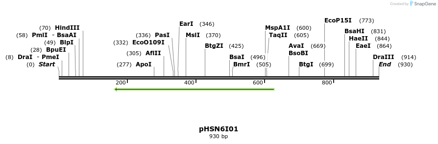 78433_map