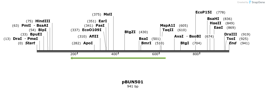 78435_map