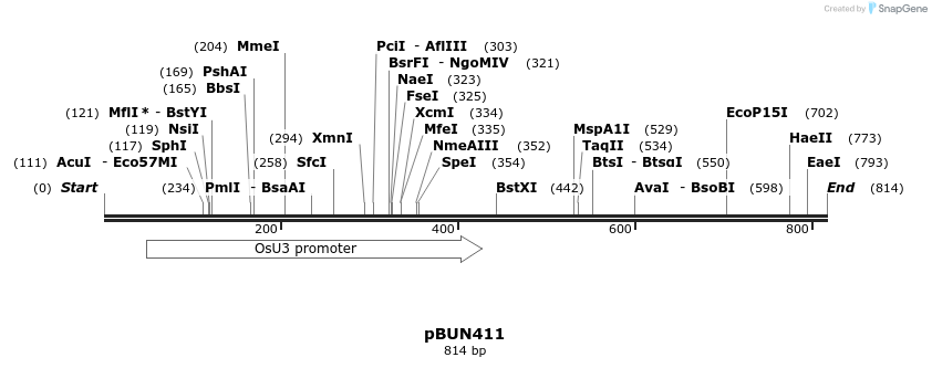 78436_map