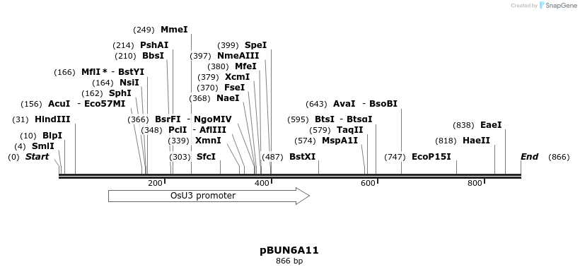 78439_map