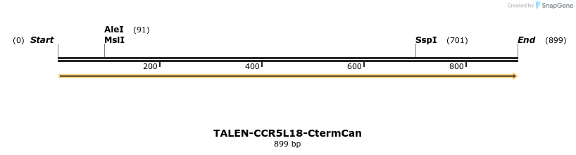 78441_map