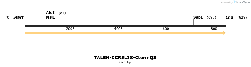 78447_map
