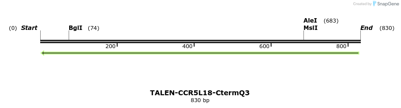 78448_map