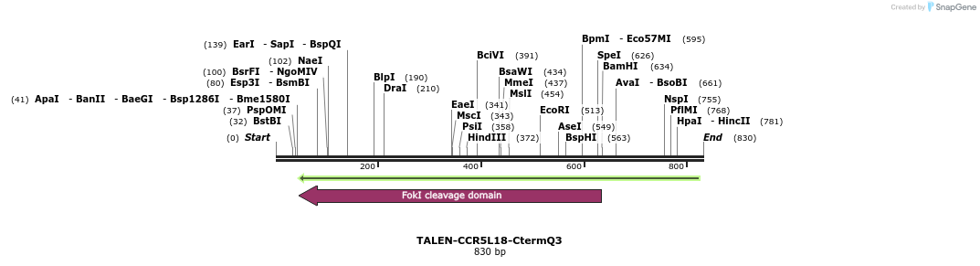 78449_map