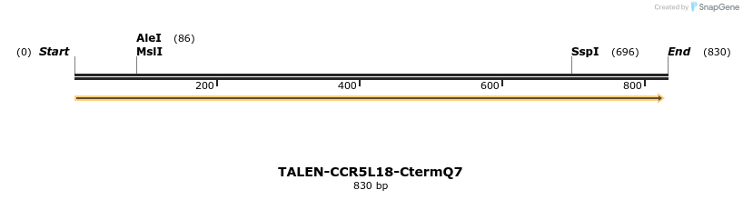 78452_map