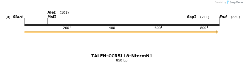 78457_map