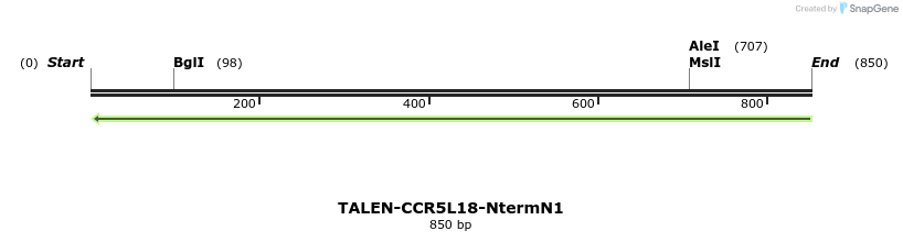 78458_map