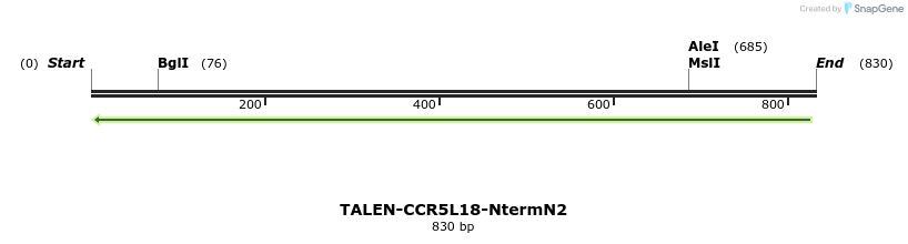 78463_map