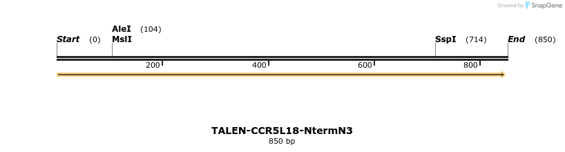 78467_map