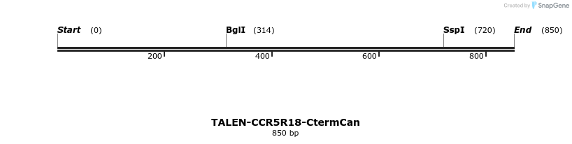 78472_map